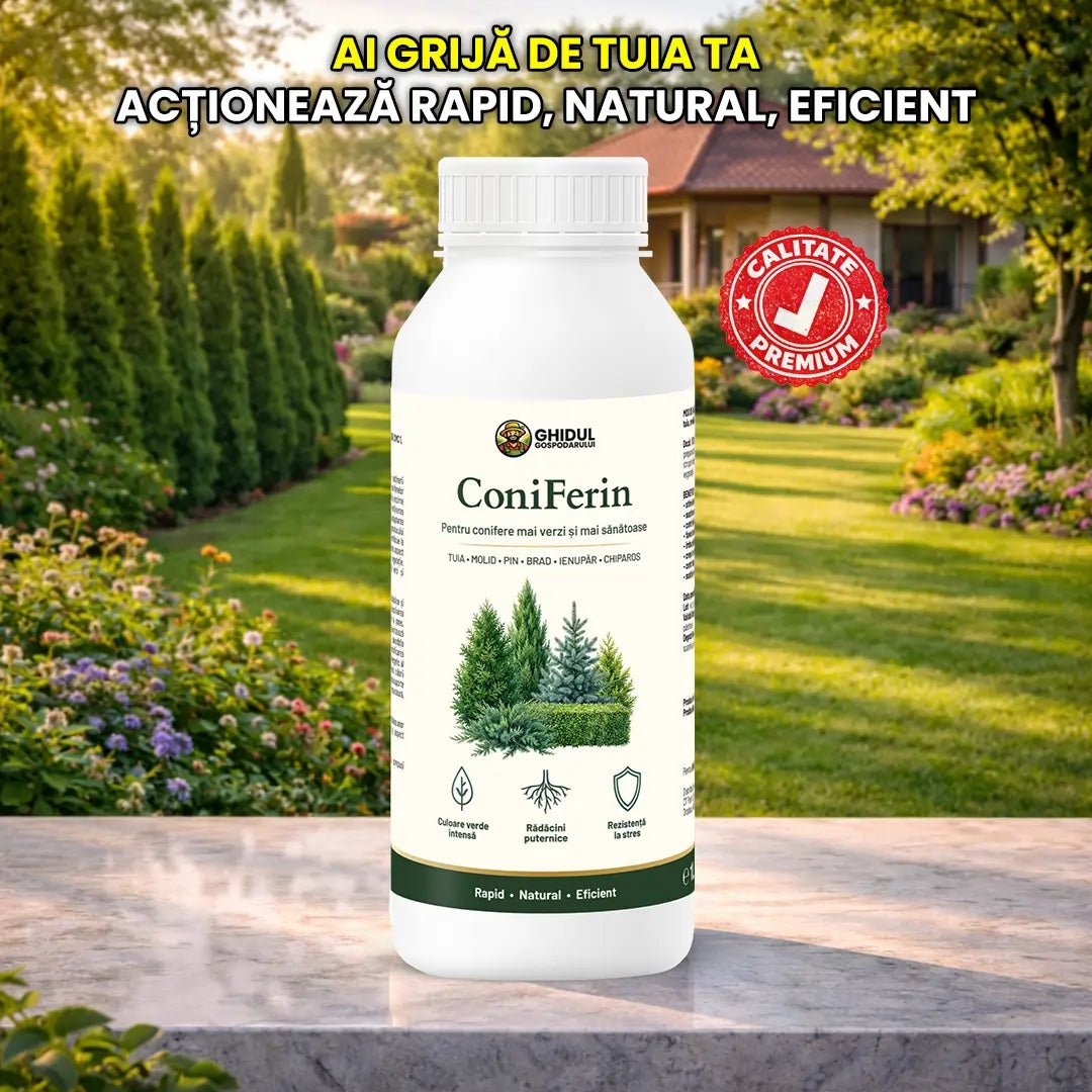 ConiFerin - Biostimulator Special pentru Tuia Verde și Sănătoasă | 1L - Ghidul Gospodarului